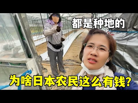 揭秘杭州,六小龙,的崛起之路,世界杯外围,2026世界杯,外围投注,赔率分析,赛事攻略