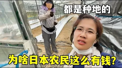 “揭秘杭州“六小龙”的崛起之路”
